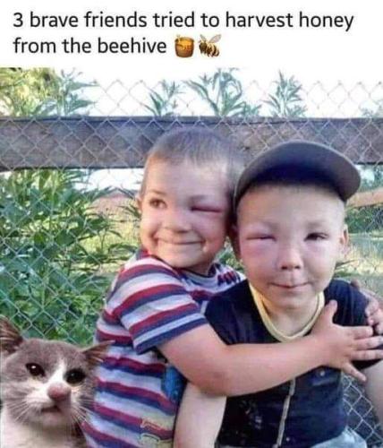 FB_IMG_1662564071369
