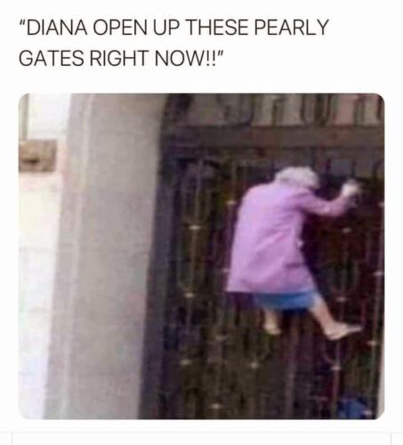 FB_IMG_1662774023185