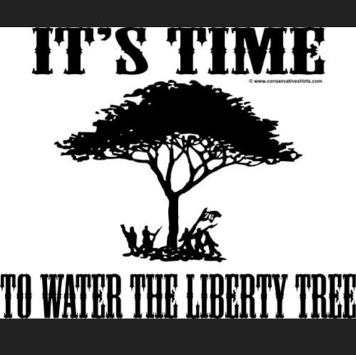 5aa068aa-d465-4675-aafc-9c023f29bf68