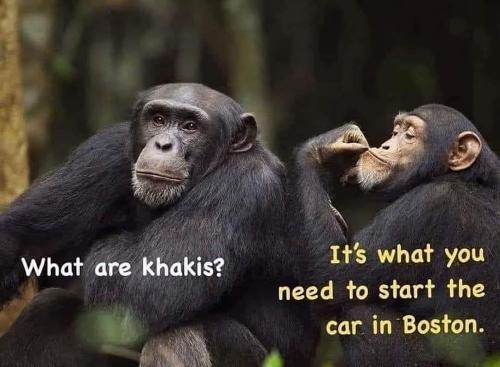 FB_IMG_1662748176976