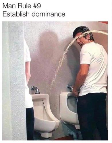 FB_IMG_1664382164789