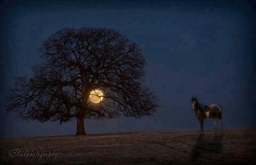 zwzEPWMIO0GOU819ZQVTEQ