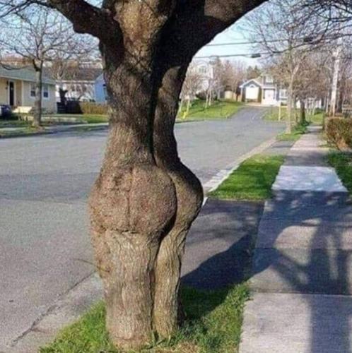 IMG_20220920_090758_718