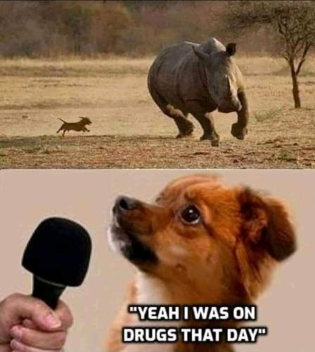 FB_IMG_1662564010991