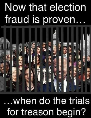 voterfraud356