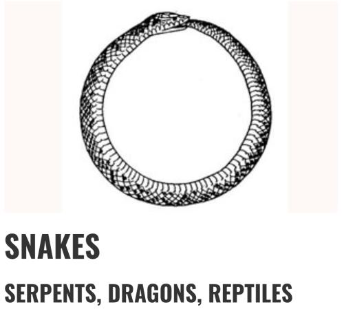 Screenshot_2022-09-20-10-51-27-95_40deb401b9ffe8e1df2f1cc5ba480b12