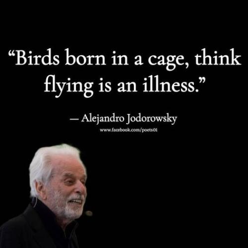 306506231_618760513169024_1671925351990394950_n