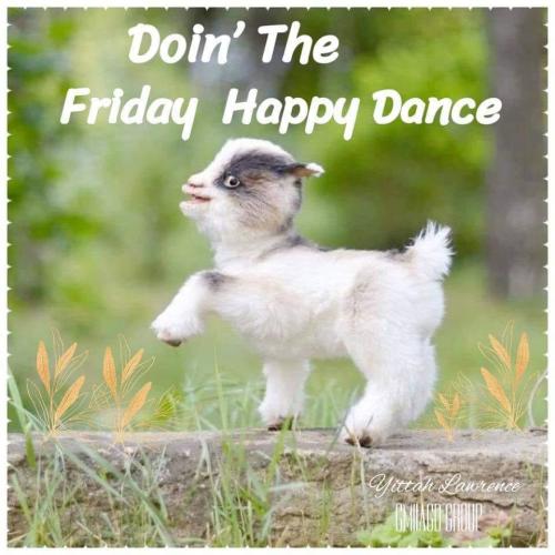 7CBD8E4A-C3B5-4DEE-8E50-74053CA6A908