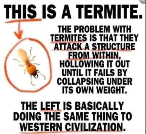 32b135c0-7329-44d7-8c7c-c3181f988102