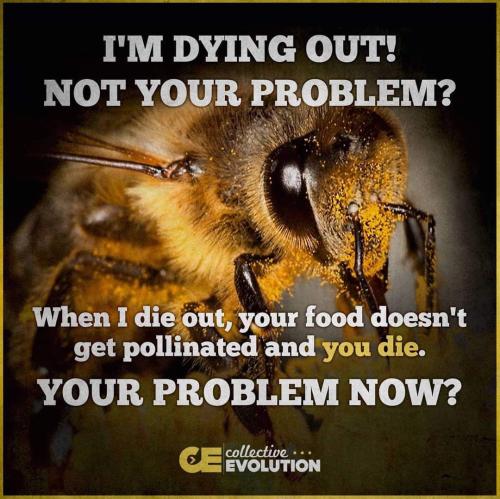 11:18:12 GMT-0400 (EDT)