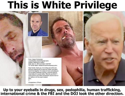 This is white privilege Hunter and Joe 648px