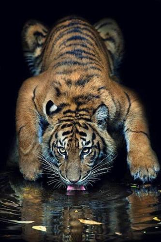 306854135_8321236161227585_825134210368761923_n