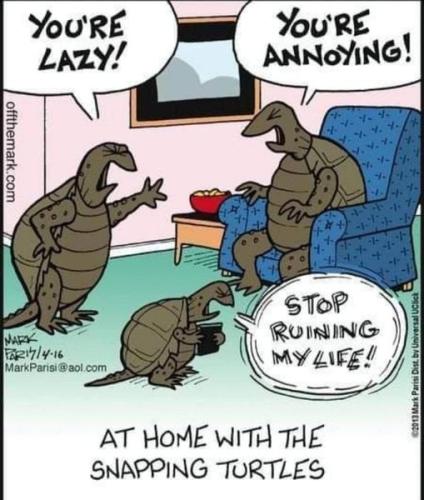 308727360_643574043802046_680819878646361110_n