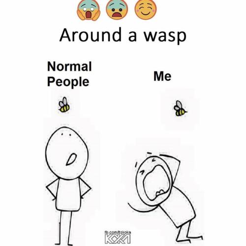 E1B2847D-2117-4158-B76B-EB7004125C01-81232-000020082FABC244