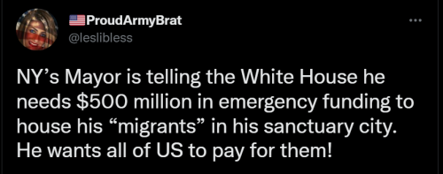 Illegals NY 1