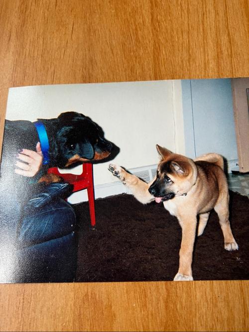 01B341B1-B81B-4693-8D35-85682A9A3832