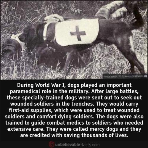 FB_IMG_1625423493451