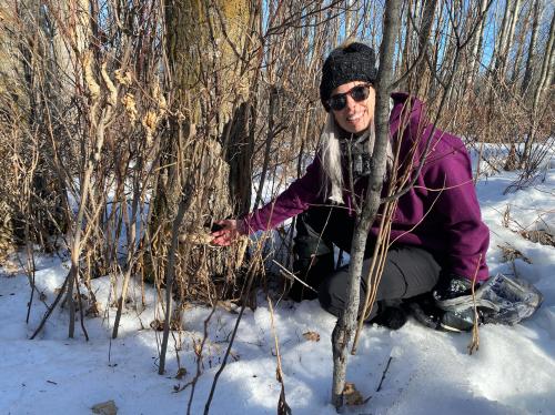 5E705243-46A2-403A-81D3-F8A535D1DA26