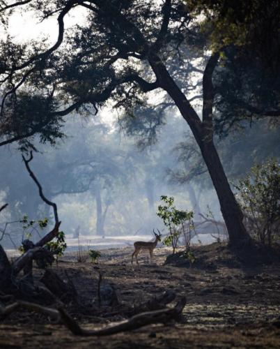 tumblr_454bd039906d011f14699c93aba966d4_dead3ce8_540