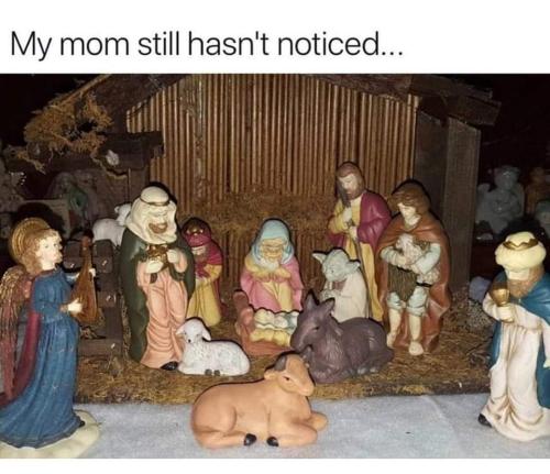 FB_IMG_1664040667936