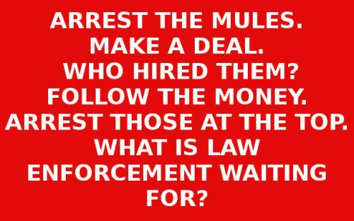 Arrest Mules 1