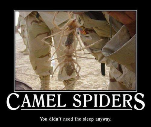 xIG4hieYRXimowu_NDma1w