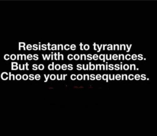 FB_IMG_1661048410364