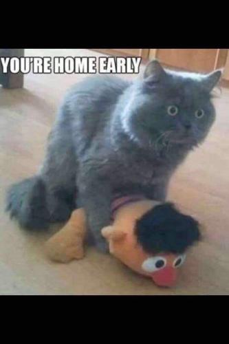 FB_IMG_1663256259640