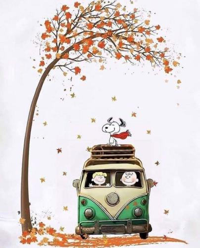 FB_IMG_1664076052461