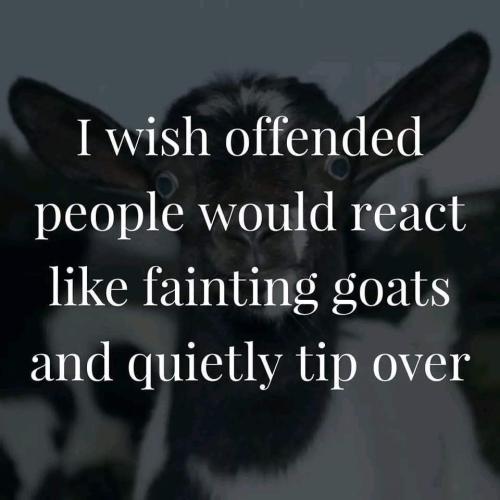 FB_IMG_1663956952567