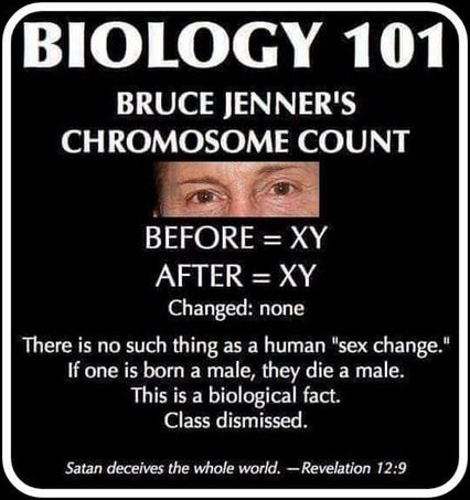 transgender238