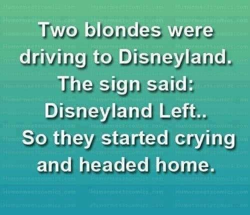 304512156_367937808881646_6315143362877507958_n