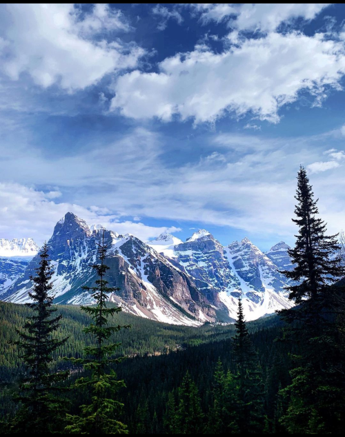 Screenshot_20220807-090826