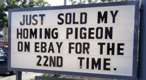 306721577_10227334892469196_3277886586662734970_n