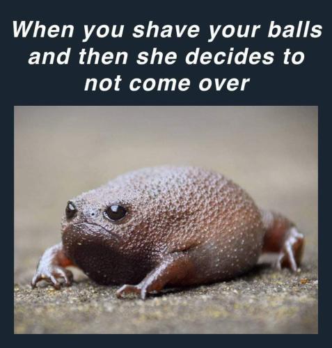 FB_IMG_1662060110947