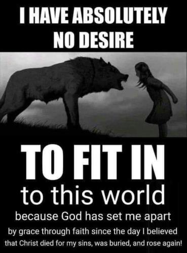 FB_IMG_1662238662469