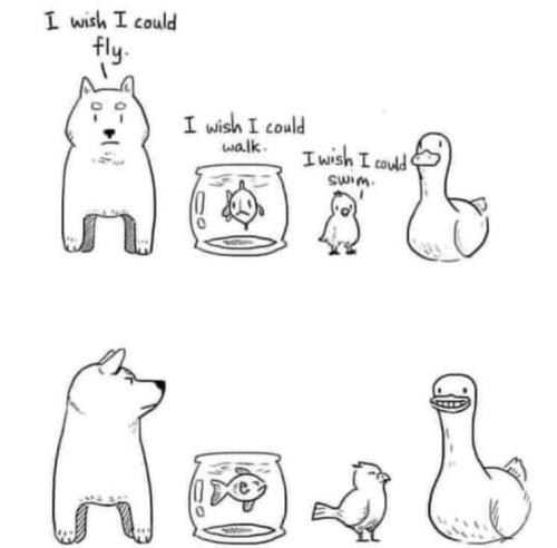 FB_IMG_1657902386283