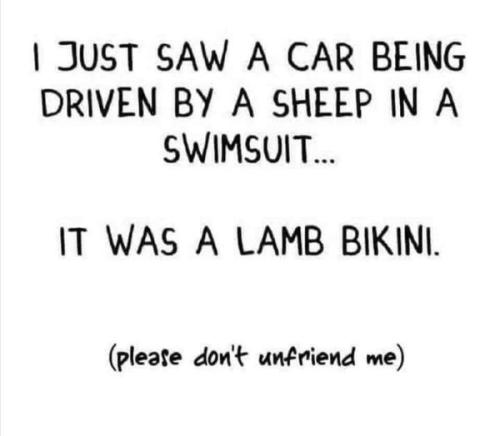 305845593_3160561684196922_6185527392905169698_n