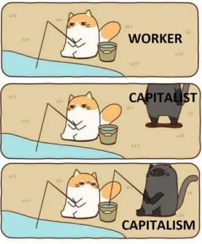 FB_IMG_1660513129635