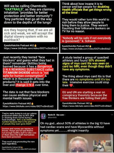 Screenshot_2022-09-12-16-44-41-095_com.google.android.apps.photos