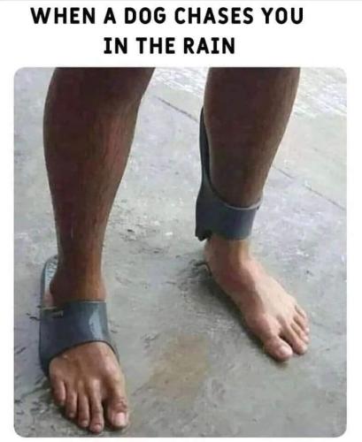 FB_IMG_1663619091710
