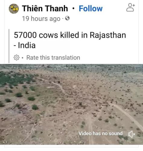 tumblr_02d82fb71486fa4e0b2485a666b70c4c_3ed91705_640