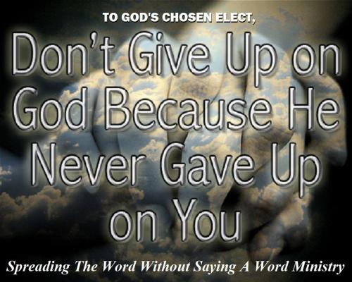 12080243_940764312672367_2890355138886776201_o