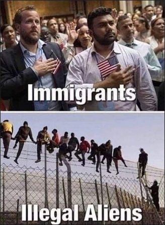 illegal immigration289