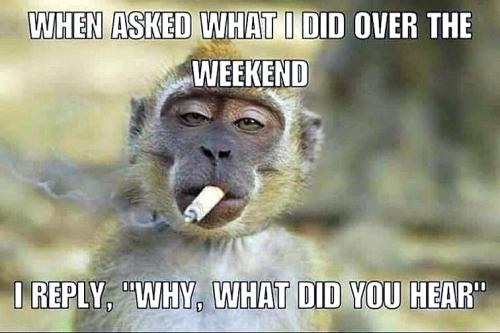 308534711_1557100431469795_4730674511169604180_n