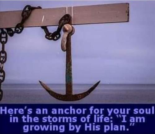 Screenshot_20220928-143605_MeWe