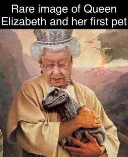 FB_IMG_1662704309889