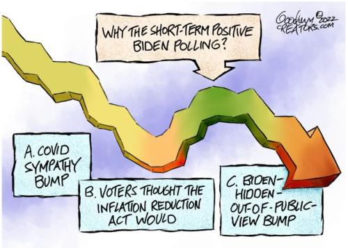 alg081022dAPR20220809064504