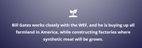 WEF 6