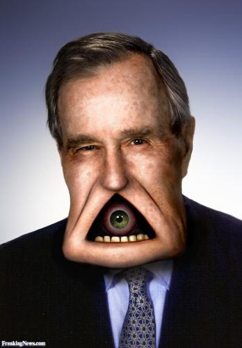 bush senoir